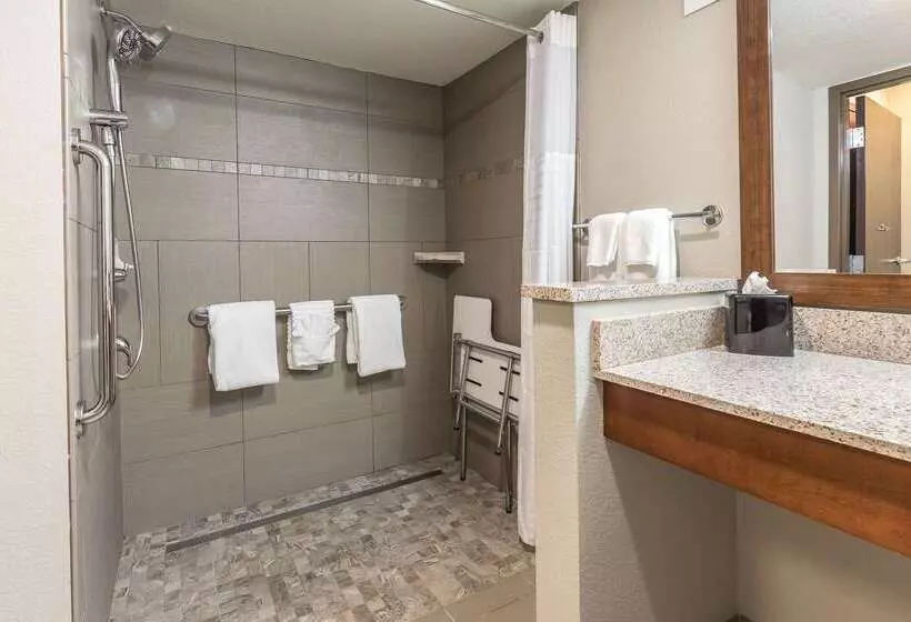 ホテル Comfort Inn Bay City  Riverfront