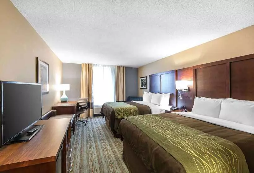 ホテル Comfort Inn Bay City  Riverfront
