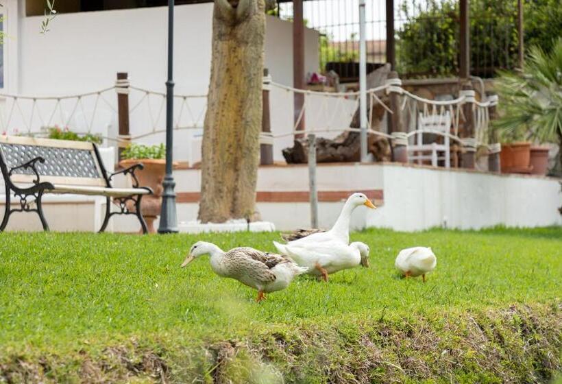 בית מלון כפרי Poseidonia Mare