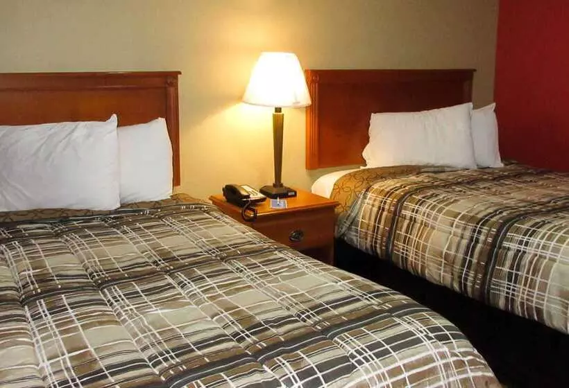 ホテル Rodeway Inn