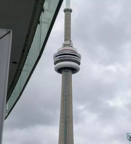 Pelican At Rogers Centre