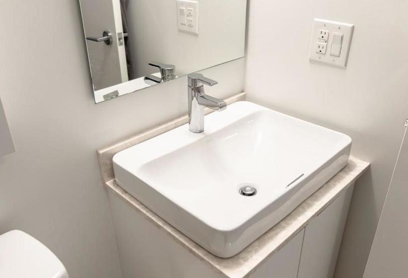 Pelican At Rogers Centre