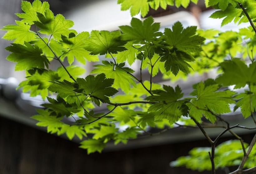 פנסיון Gion Guesthouse Yururi