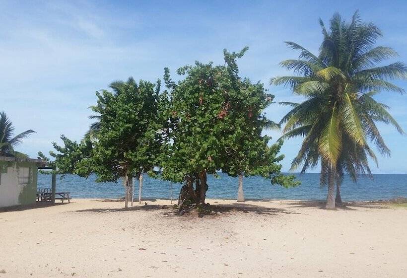 بنسيون Sugar Patch Inn