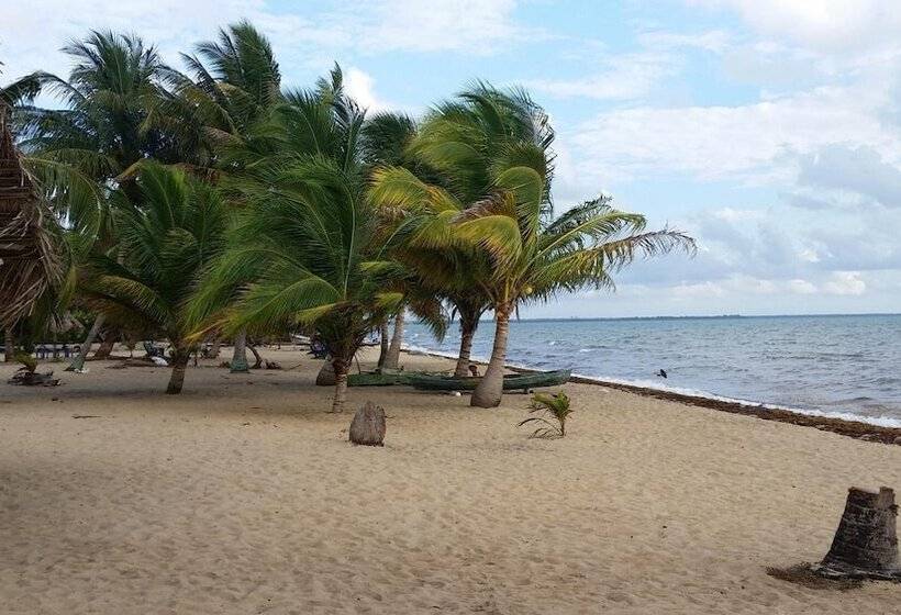 بنسيون Sugar Patch Inn