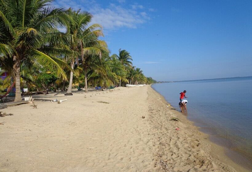 بنسيون Sugar Patch Inn