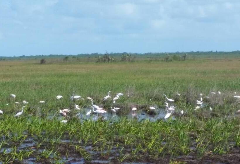 بنسيون Sugar Patch Inn