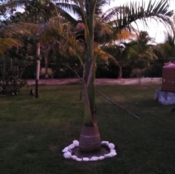 بنسيون Sugar Patch Inn