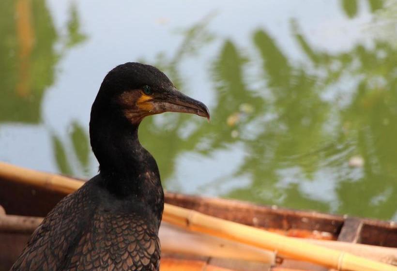 Scholars Hotel Xuntang