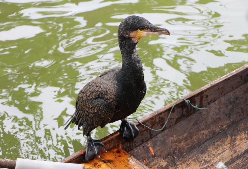 Scholars Hotel Xuntang