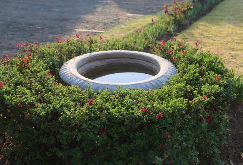 צימר Mt Horeb Manor