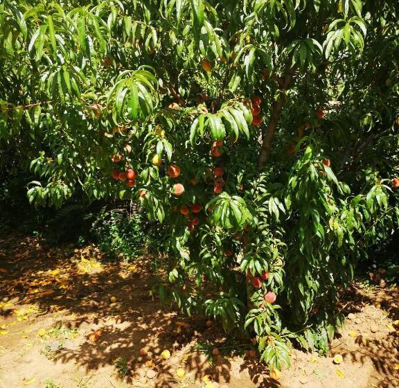 צימר Mt Horeb Manor