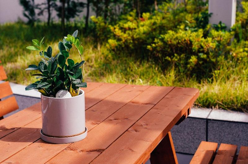 فندق Golden Business