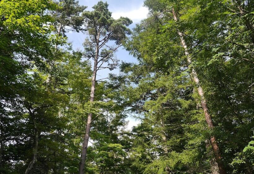 Yamanakako Asahigaoka Onsen Hotel Seikei