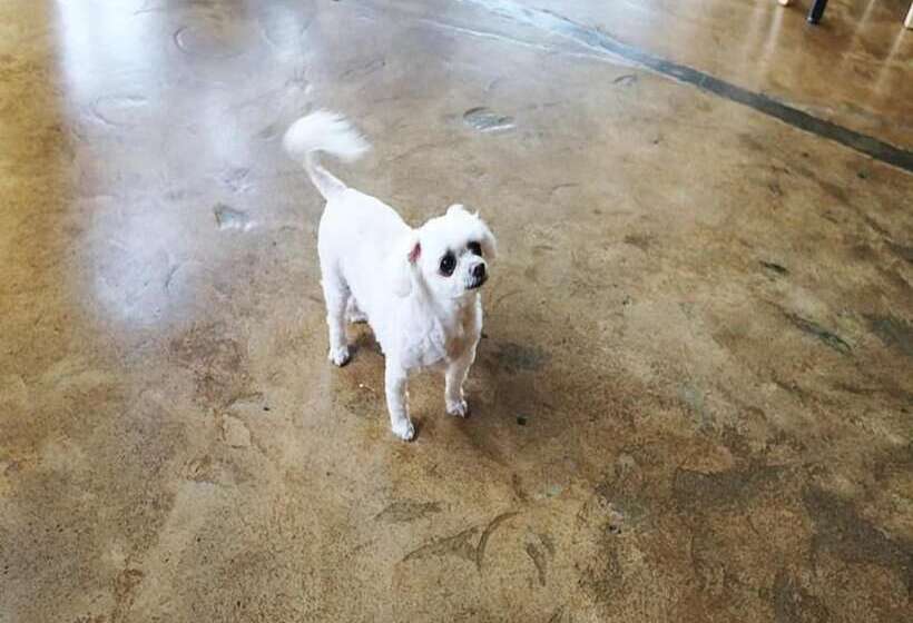 Pensão James Blue Hostel