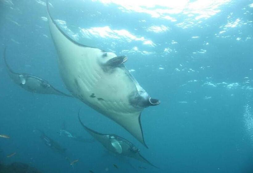 Отель Pondok Bambu Resort 5 Stars Padi Dive Centre