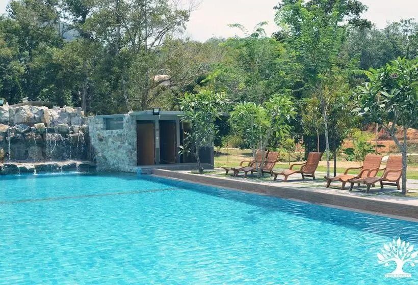 ホテル The Acacia Retreat