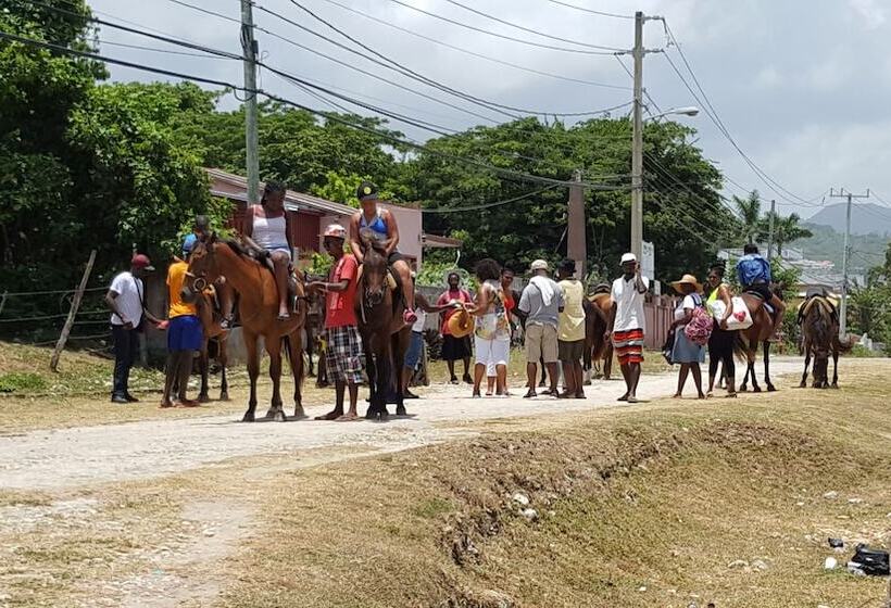 Ocho Rios Villa At Coolshade