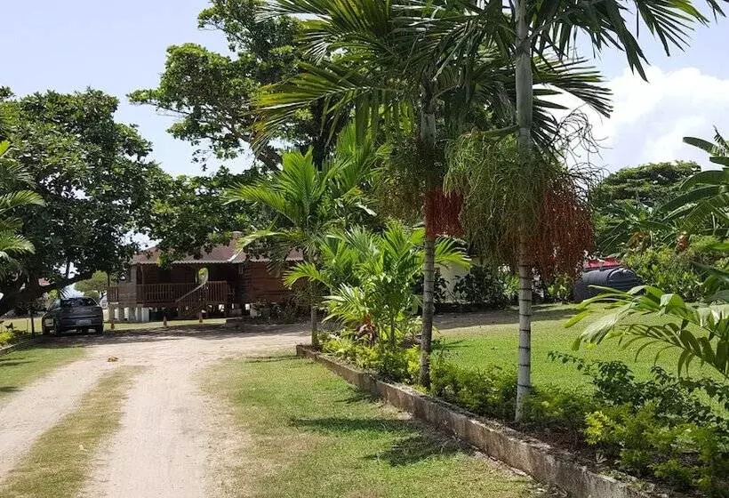 Ocho Rios Villa At Coolshade