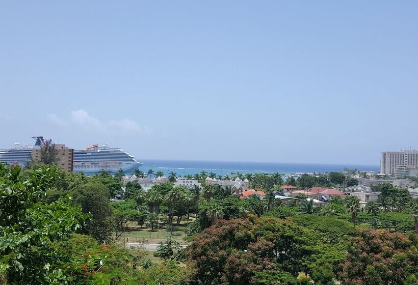 Ocho Rios Villa At Coolshade