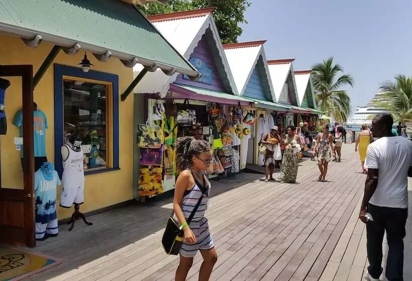 Ocho Rios Villa At Coolshade