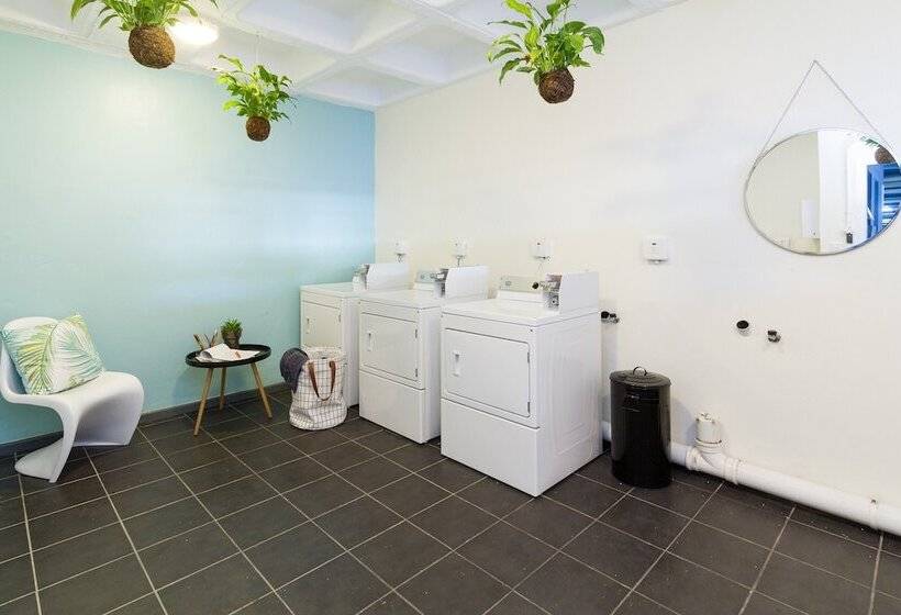 Wink Aparthotel Quiver Tree