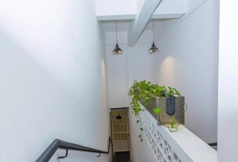Hotel White Loft