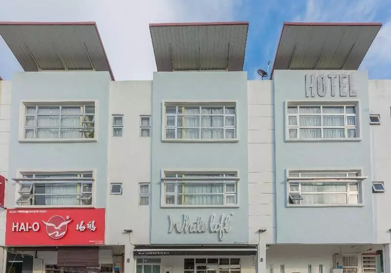 Hotel White Loft