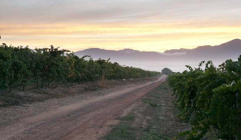 تختخواب و صبحانه Under Oaks Guesthouse