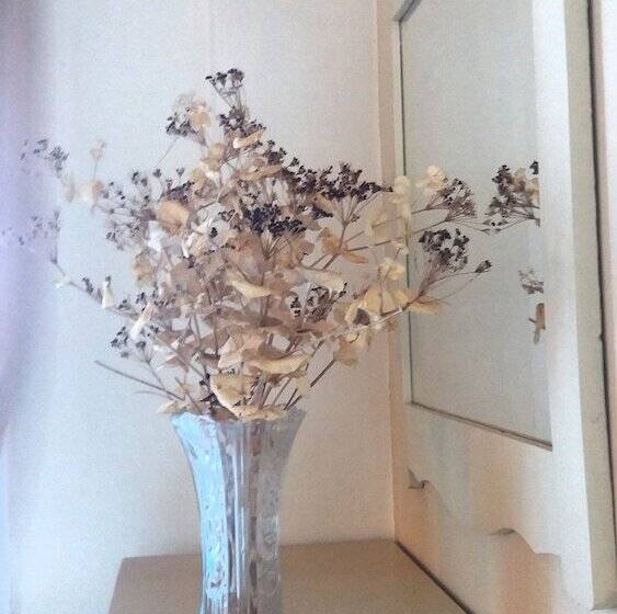 Bella Vista Apartments