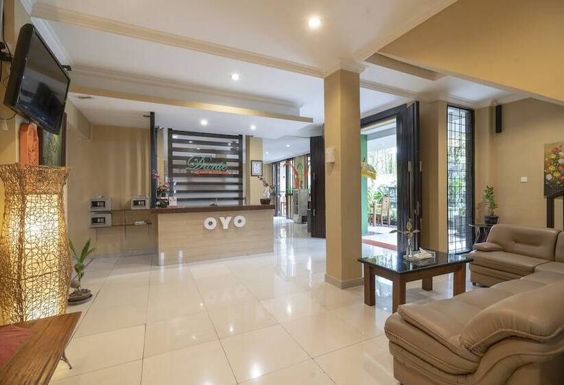 فندق Capital O 612 Dante Guesthouse