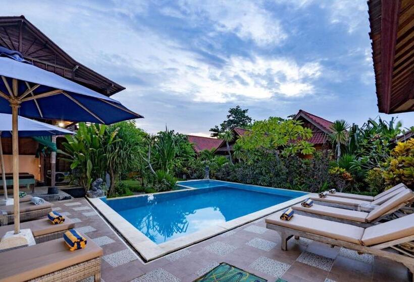 בית מלון כפרי Dream Beach Inn