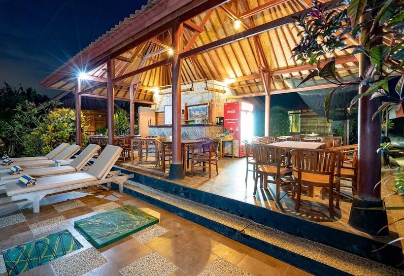 בית מלון כפרי Dream Beach Inn