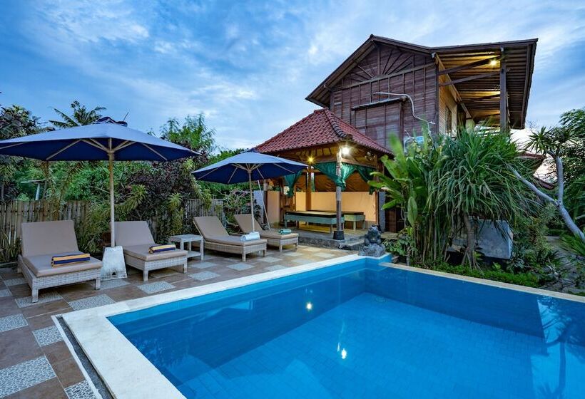 בית מלון כפרי Dream Beach Inn