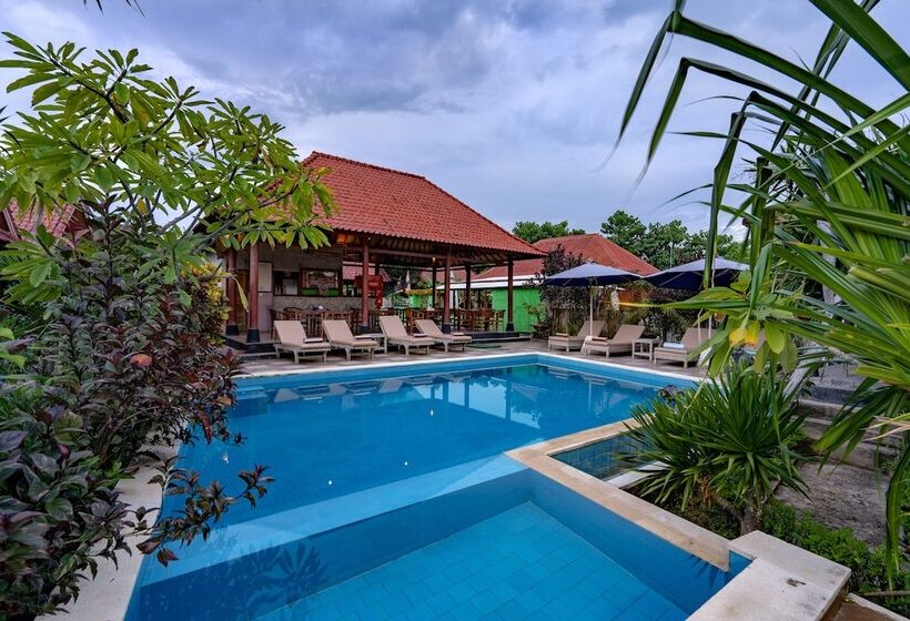 בית מלון כפרי Dream Beach Inn