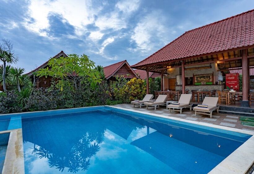 בית מלון כפרי Dream Beach Inn