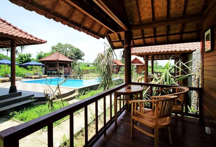 בית מלון כפרי Dream Beach Inn