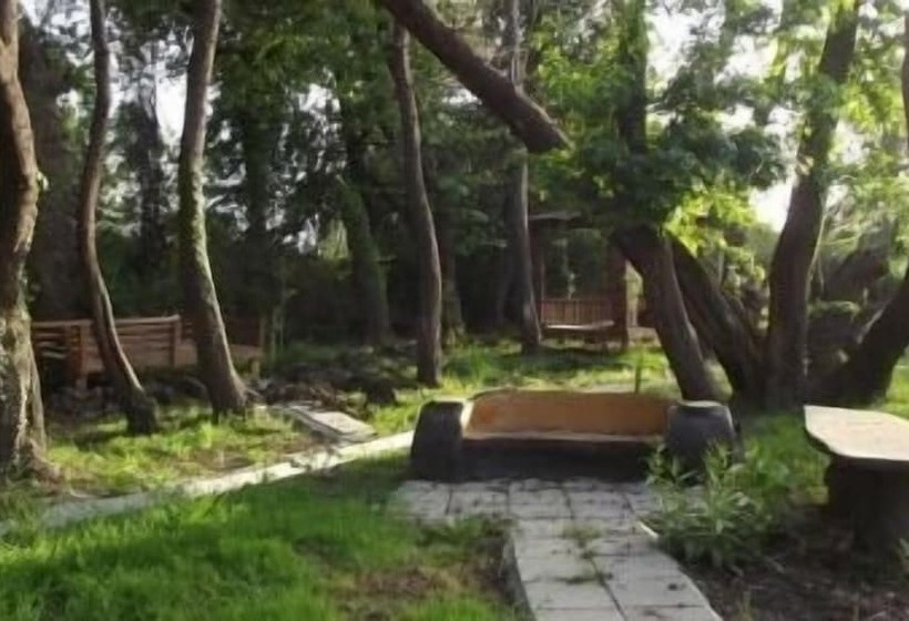 Отель Katrancı Park