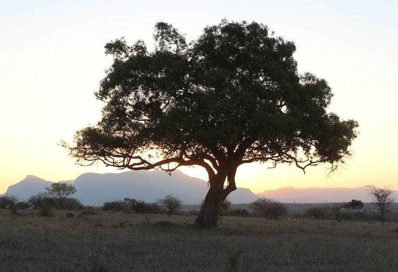 בית מלון כפרי Thornhill Safari Lodge