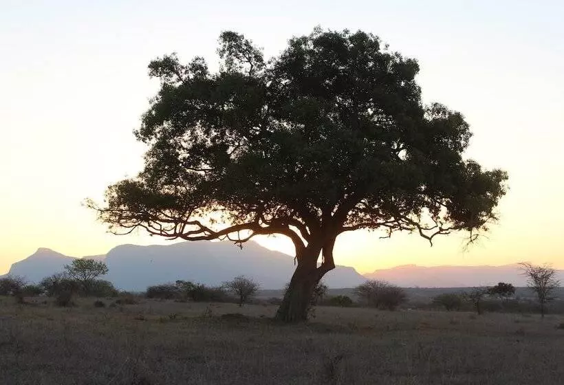 ホテル Thornhill Safari Lodge