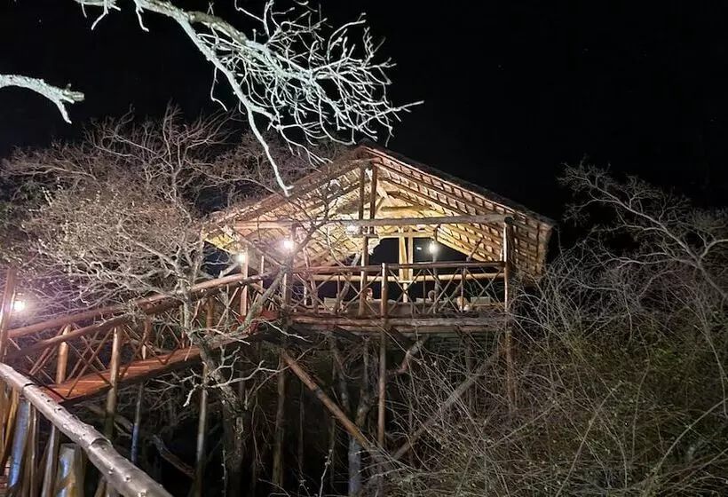 ホテル Thornhill Safari Lodge