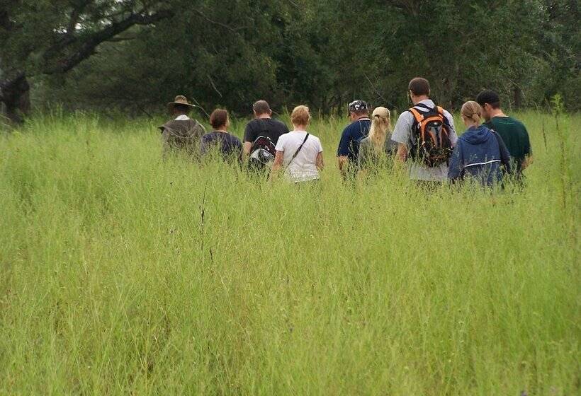 בית מלון כפרי Thornhill Safari Lodge