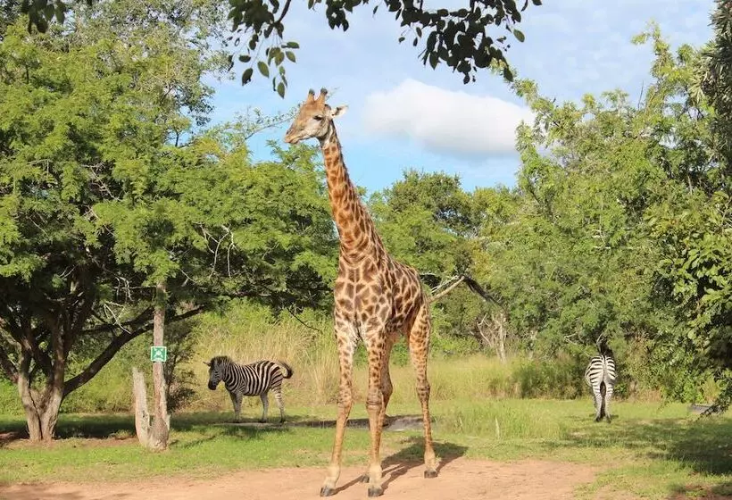 ホテル Thornhill Safari Lodge