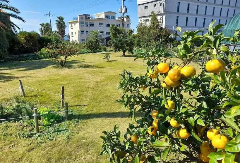 Hotelli Haeansung Pension