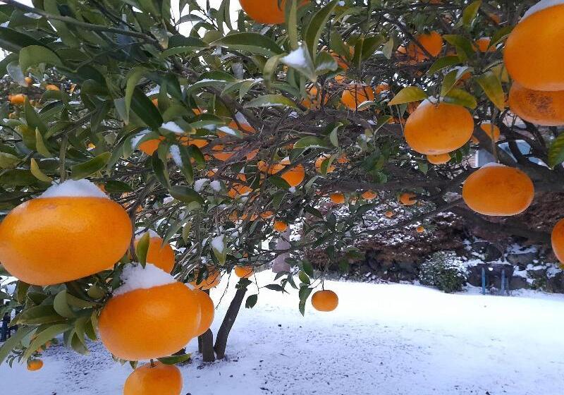 فندق Haeansung Pension