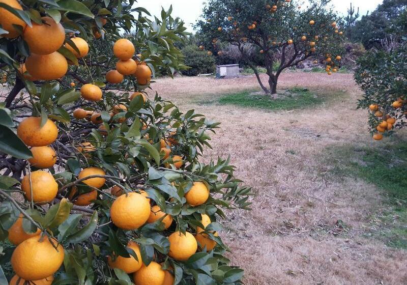 فندق Haeansung Pension