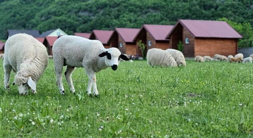 Eko Katun Rosi Old Tower