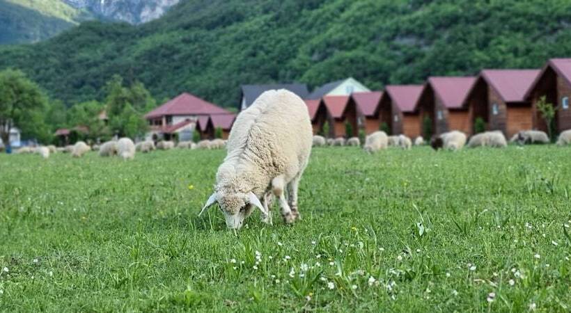 Eko Katun Rosi Old Tower