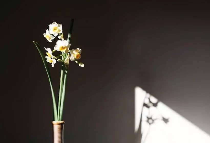 Hotelli Nipponia Kosa Canal Town