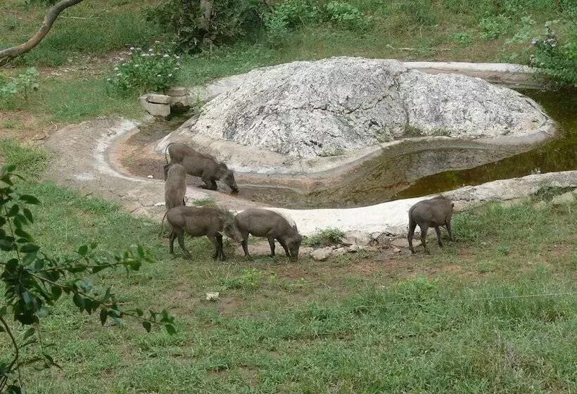 Hotelli Baluleni Safari Lodge